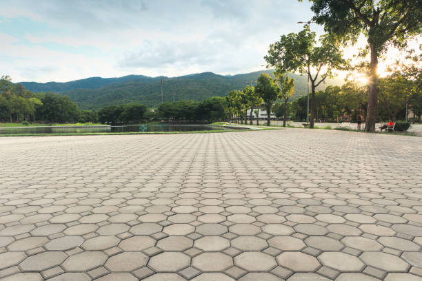 Best Professional Driveway Pavers  in Burlington, KY